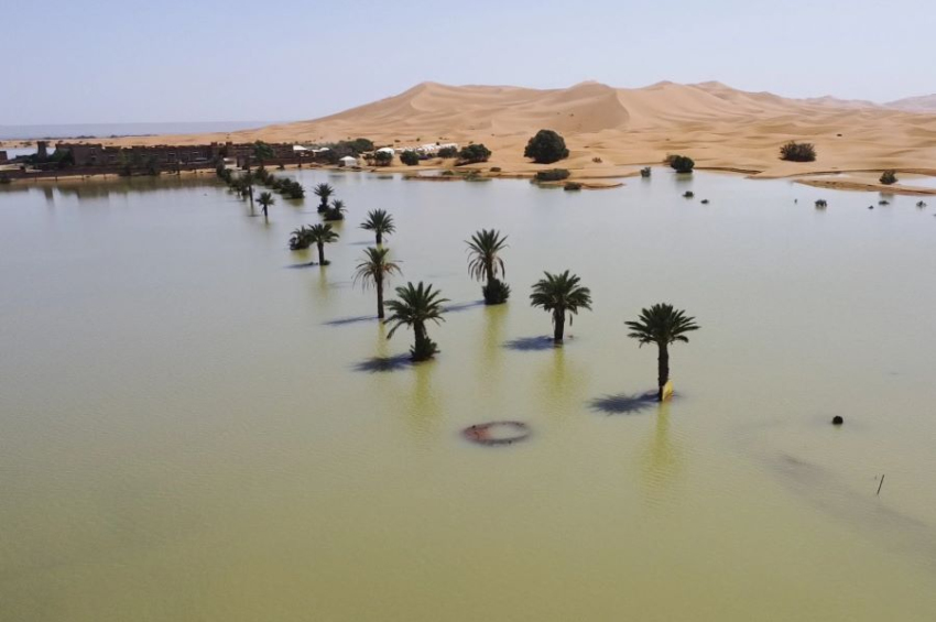 Parts of Sahara Desert flooded for first time in recorded history