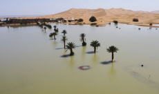 Parts of Sahara Desert flooded for first time in recorded history