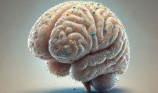 Study: Human brains are polluted with microplastics